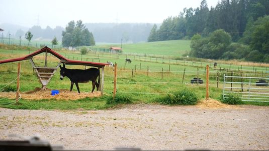 Filmstill: Zwischen Sorgen und Morgen