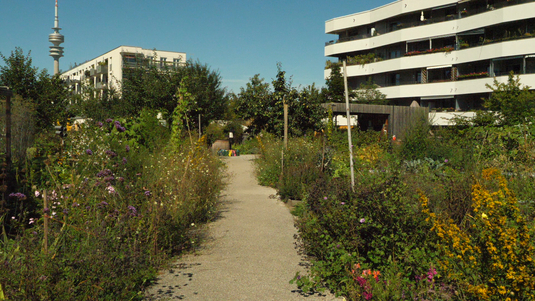 Filmstill: Zwischen Beet und Beton