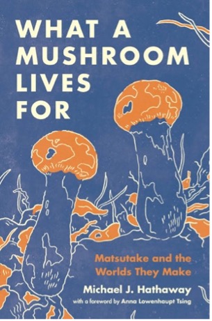 2025-12-04-Bild-Beitrag-Reinhardt